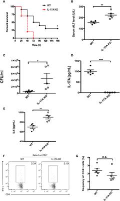 Infiltrated IL-17A-producing gamma delta T cells play a protective role in sepsis-induced liver injury and are regulated by CCR6 and gut commensal microbes